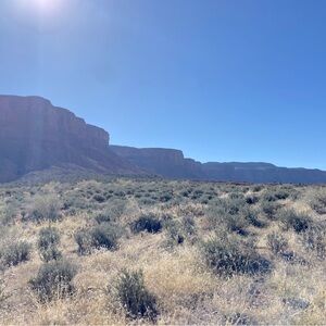 Meet your Posher, Lily